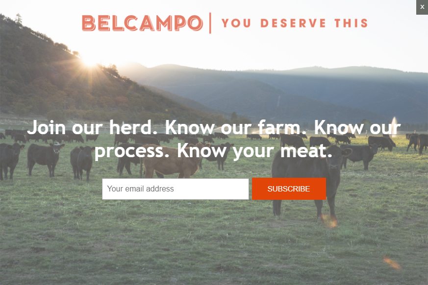 How to Layout Your Website Homepage