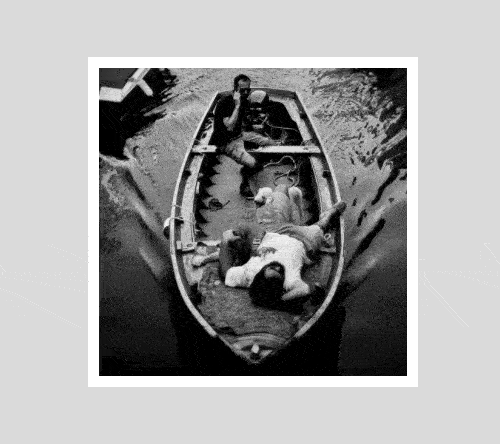 image becomes more opaque as it moves toward bottom of page using CSS fade-in animation