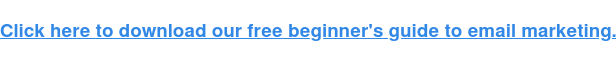 Click Here To Download Our Free Beginner'S Guide To Email Marketing.