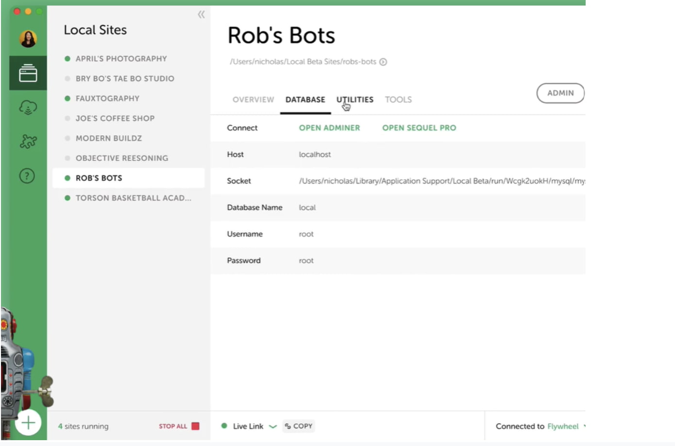 Local Development Environment