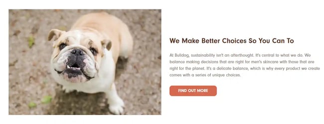 About Us Page Examples - Bulldog Skincare